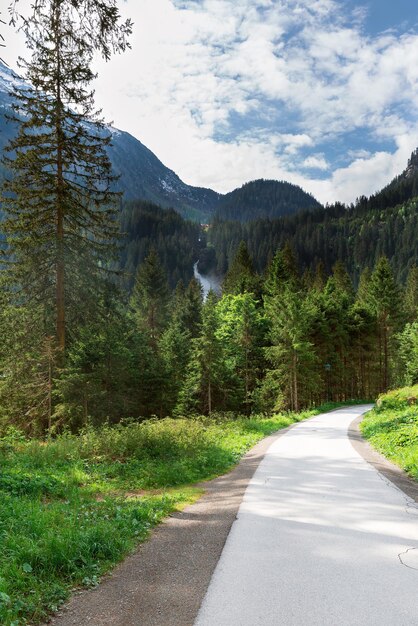 Camminando nella strada forestale in Austria