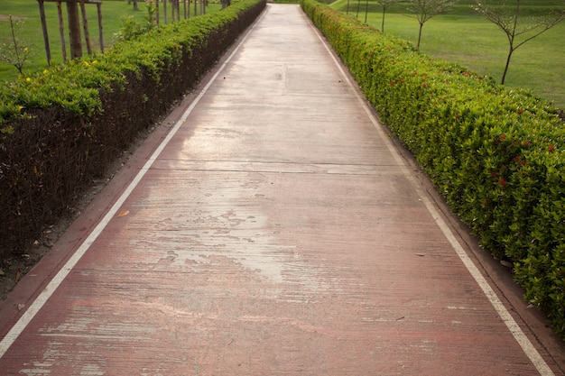 camminare nel Parco.