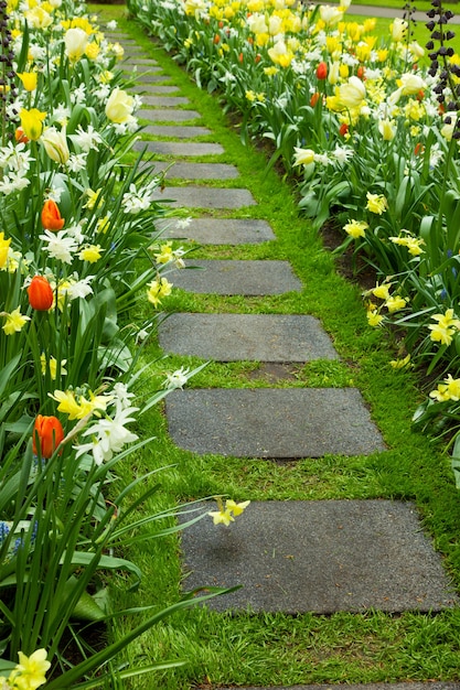 Camminata in pietra che si snoda nel giardino fiorito