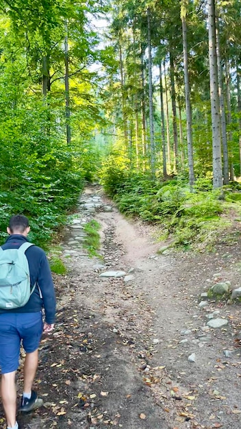 Cammino di montagna in Polonia con un escursionista