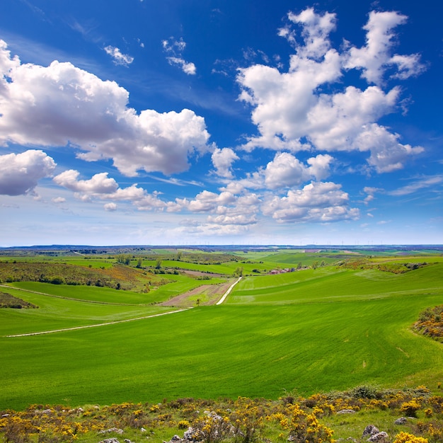 Cammino di Santiago da Atapuerca attraversa per Burgos