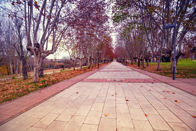 Cammino nel parco in autunno Vicino al fiume Tamigi vicino alla Nuova Chiesa dell'Arrabal nella città di Salamanca, Spagna