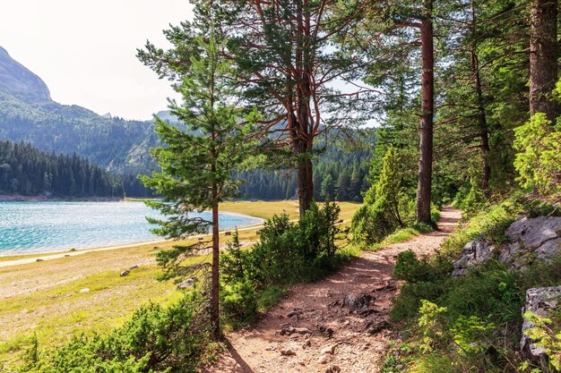 Cammino nel parco nazionale vicino al Lago Nero nelle montagne del Montenegro