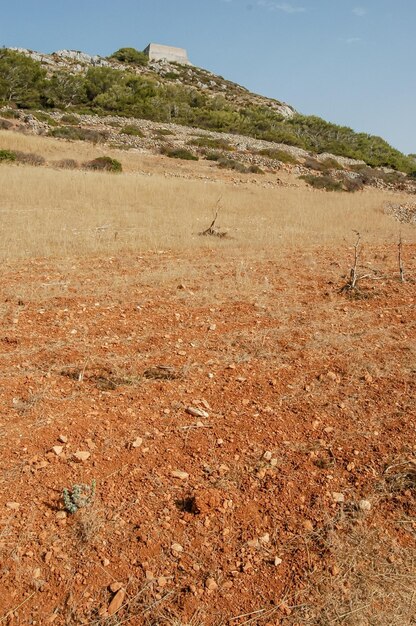 Campagna del paesaggio secco