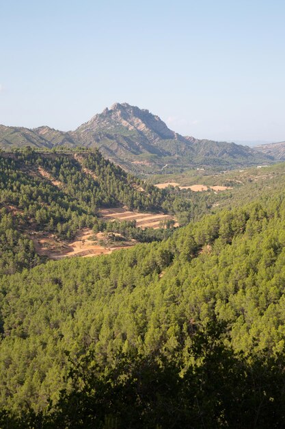 Campagna del Parco Nazionale dei Porti, Tarragona, Spagna