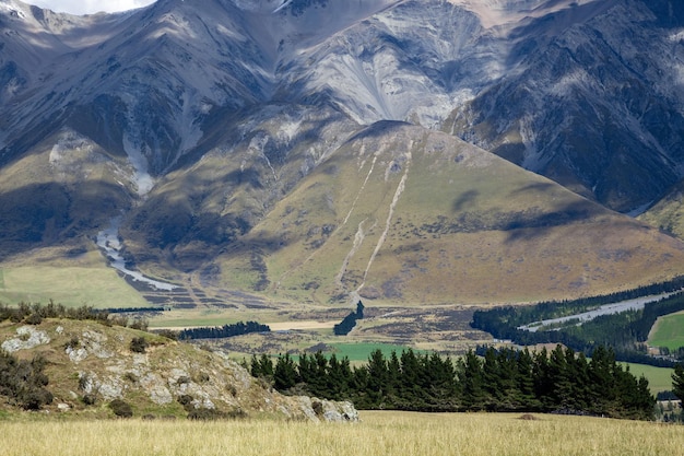 Campagna della Nuova Zelanda vicino al fiume Rakia