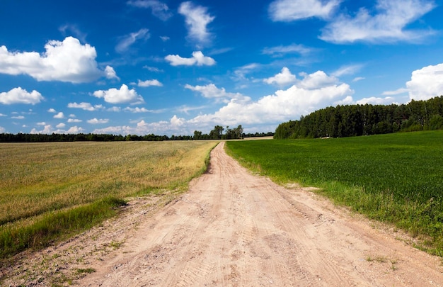 Campagna della strada primaverile