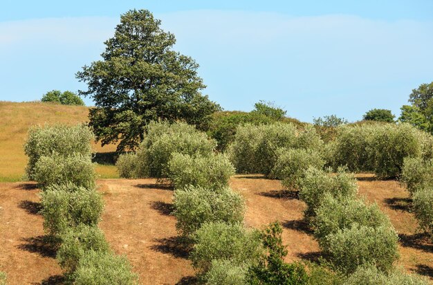 Campagna estiva Italia