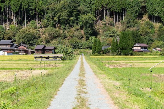 Campagna naturale