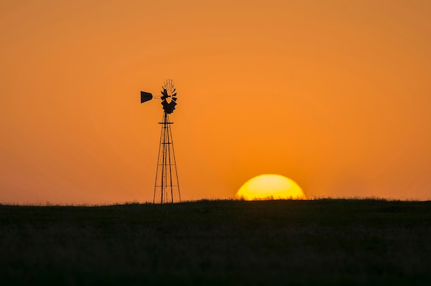 Campagna paesaggio al tramontoprovincia di Buenos Aires Argentina