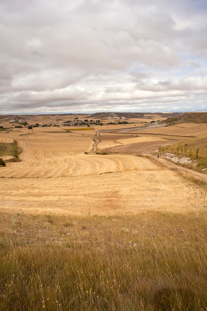 Campagna spagnola