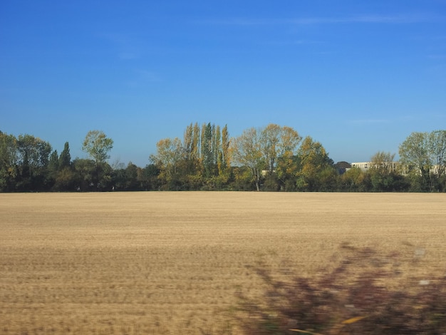 Campagna vicino a Cambridge