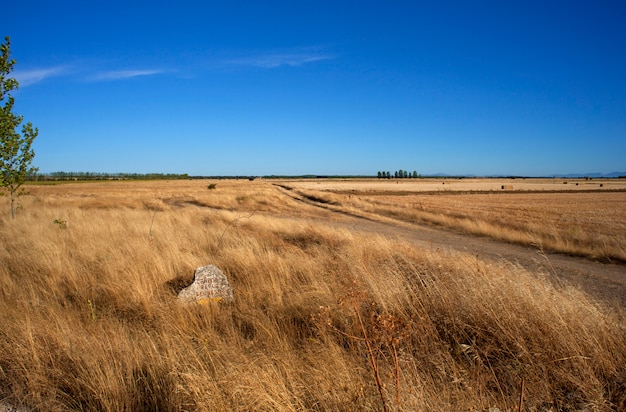 Campagna