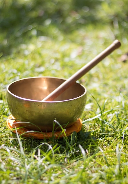 Campana tibetana nel proprio giardino zen all'aperto