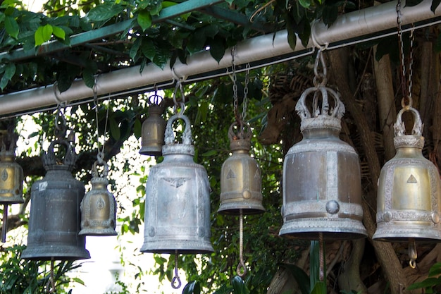 Campane appese ad un albero con la scritta "campana" in basso.