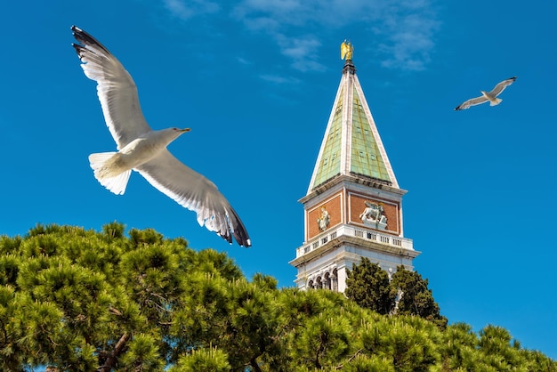 Campanile di San Marco a Venezia Italia