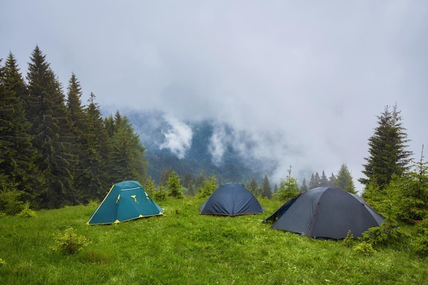 Campeggio e tende nella foresta in montagna