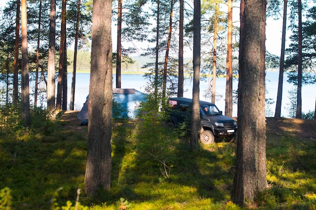 Campeggio in pineta con tenda all'alba Vacanze turistiche