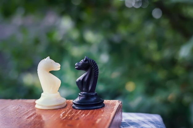 Campeggio in un gioco di scacchi due scacchi cavaliere è in piedi su una tavola su uno sfondo di alberi
