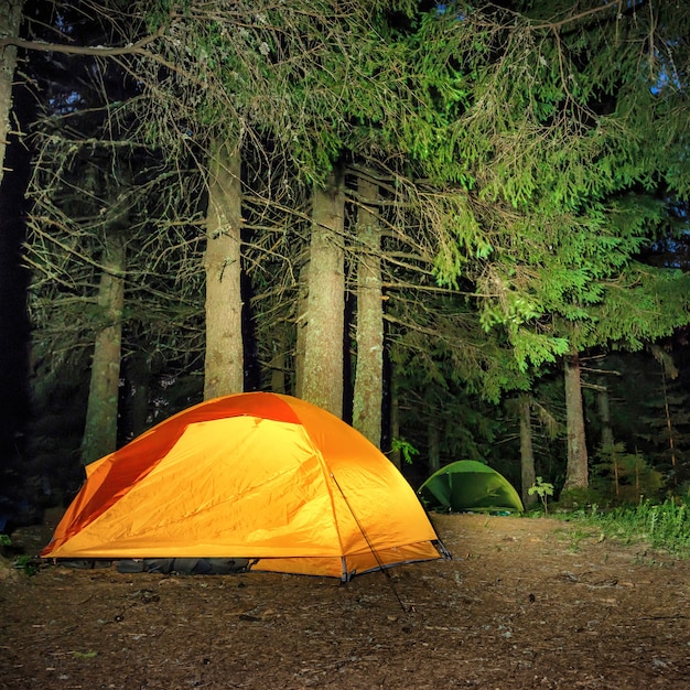 Campeggio nella foresta. Tenda illuminata arancione sotto gli alberi della notte oscura