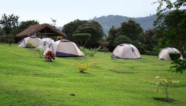 campeggio nelle montagne Rwenzori