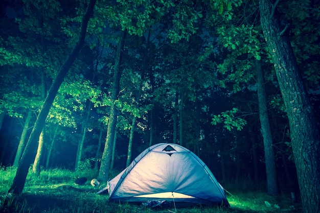 Campeggio notturno nella foresta fogliare