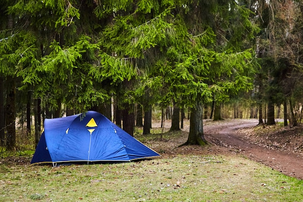 Campeggio. Tenda turistica blu nella foresta
