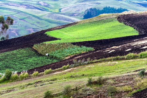 Campi agricoli andini Colta Ecuador