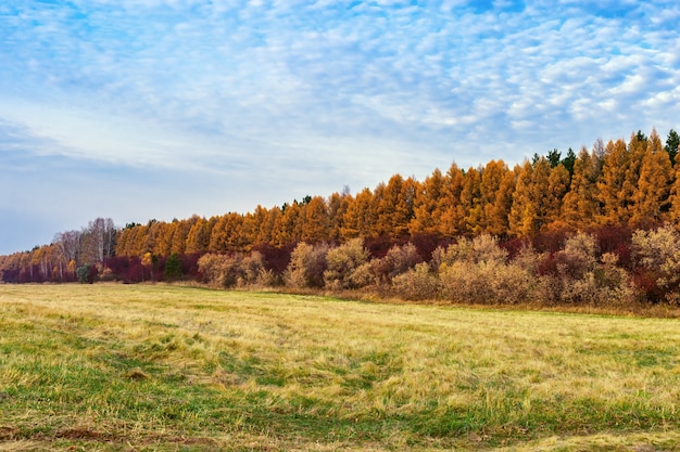 Campi agricoli dopo la raccolta