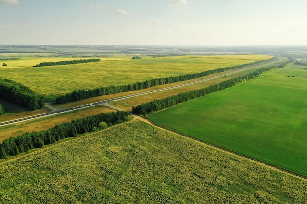 Campi agricoli durante la stagione del raccolto vicino a paesaggi rurali di terreni agricoli stradali naturali