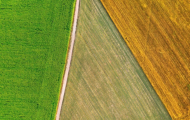 Campi agricoli in campagna vista da un drone