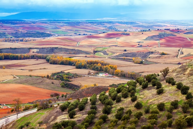 campi agricoli sotto il cielo nuvoloso