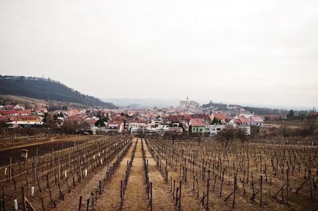 Campi con vigneti in primavera a Mikulov Moravia del Sud Repubblica Ceca