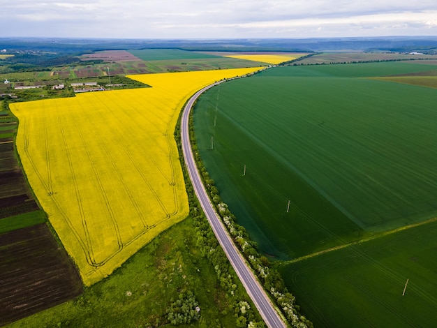 campi di colza e grano sono separati da una strada