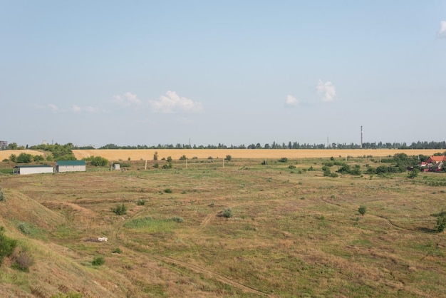 Campi di paesaggio di campagna in estate con erba secca gialla agosto ucraina