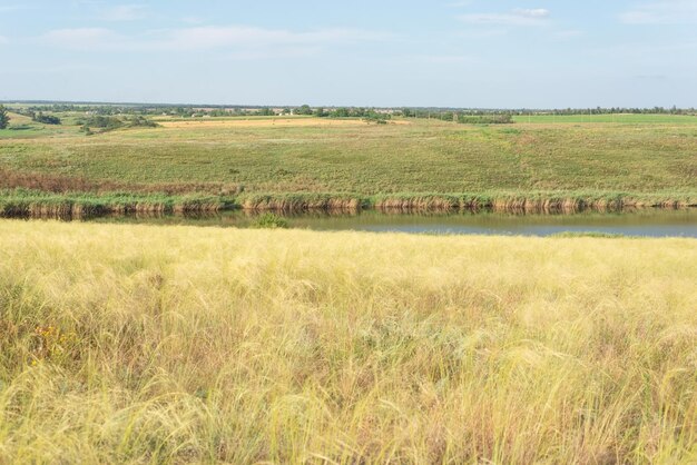 Campi di paesaggio di campagna in estate con erba secca gialla agosto ucraina