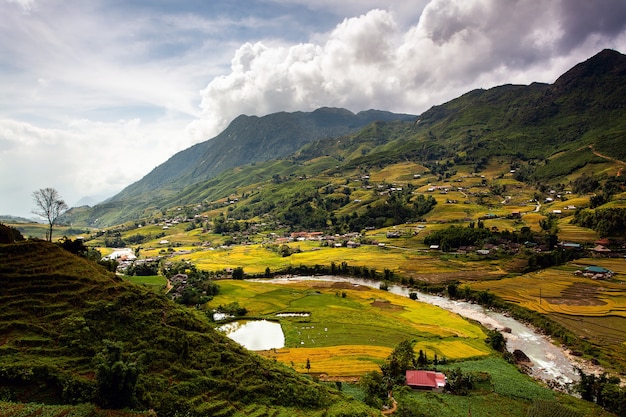 Campi di riso a nord-ovest del Vietnam