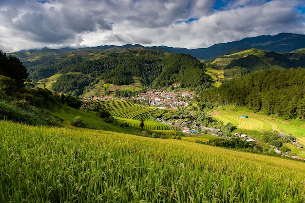 Campi di riso a nord-ovest del Vietnam