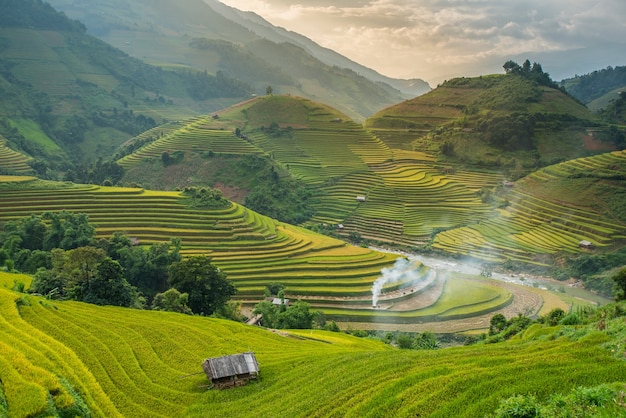 Campi di riso terrazzati nel tramonto a Tule, Yen bai, Vietnam