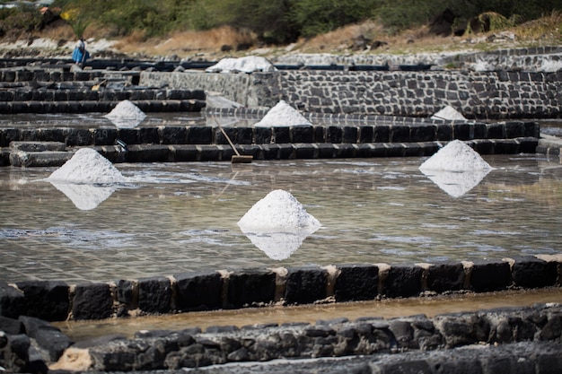 Campi di sale sulle rive dell'Oceano Indiano a Mauritius. La raccolta del sale.