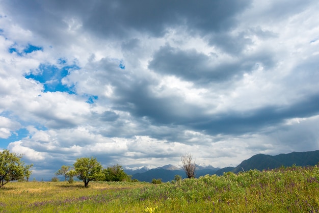 Campi e alberi sullo sfondo di montagne e cielo nuvoloso