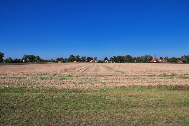 Campi e foreste della Polonia