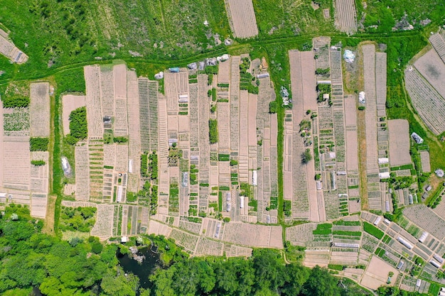 Campi e giardini della pianura russa in estate vista aerea dall'alto