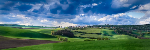 Campi gialli di colza in primavera con cielo azzurro e colline, sfondo floreale stagionale ecologico naturale, panorama