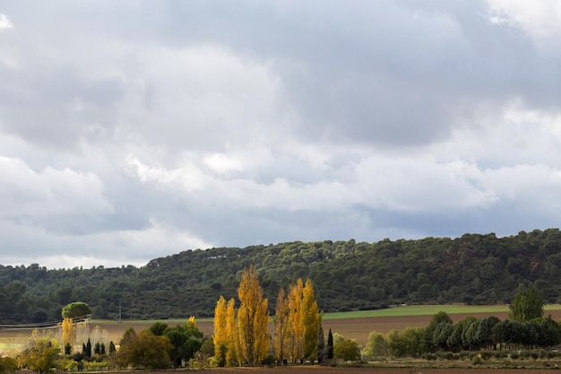 Campi in autunno