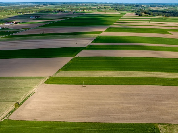 Campi marroni prati verdi in Polonia agricoltura drone fotografia aerea natura paesaggio