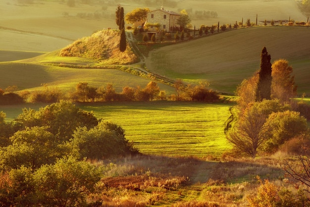 Campi ondulati in Toscana al tramonto Italia Sfondo autunnale stagionale all'aperto naturale