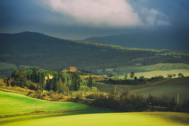 Campi ondulati in Toscana