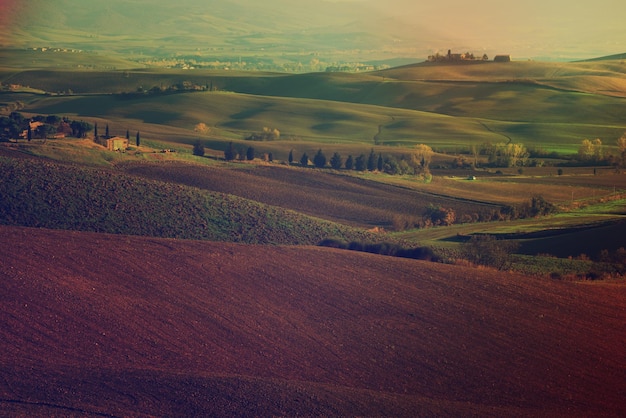 Campi ondulati in Toscana