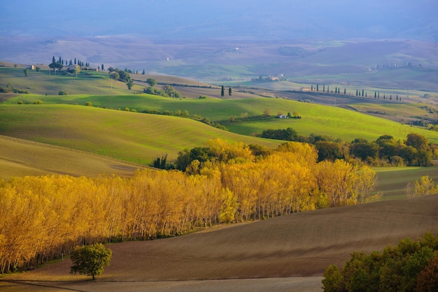 Campi ondulati in Toscana